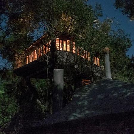 帕拉蒙纳斯Margaritis'S Treehouse别墅 外观 照片