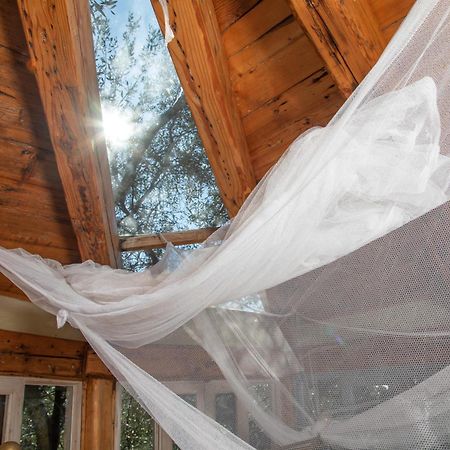 帕拉蒙纳斯Margaritis'S Treehouse别墅 外观 照片