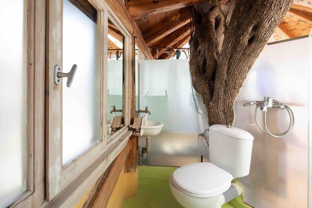 帕拉蒙纳斯Margaritis'S Treehouse别墅 外观 照片