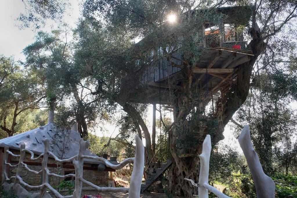 帕拉蒙纳斯Margaritis'S Treehouse别墅 外观 照片