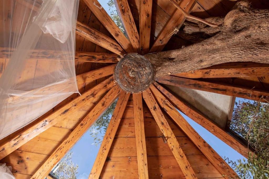 帕拉蒙纳斯Margaritis'S Treehouse别墅 外观 照片