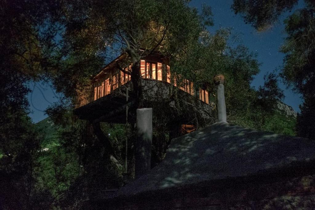 帕拉蒙纳斯Margaritis'S Treehouse别墅 外观 照片