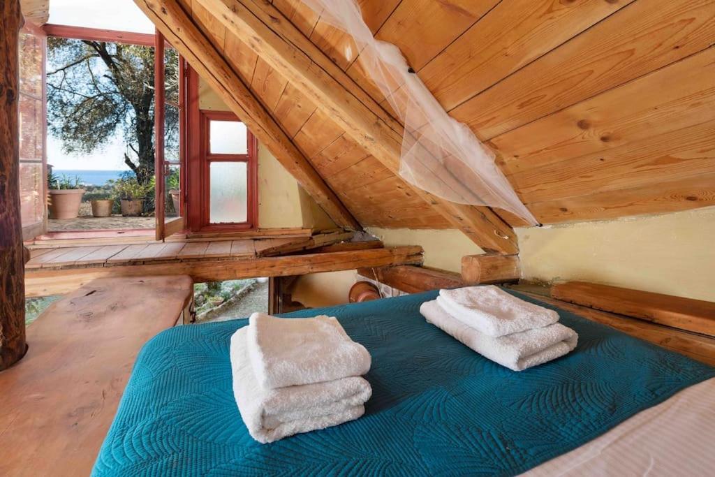 帕拉蒙纳斯Margaritis'S Treehouse别墅 外观 照片