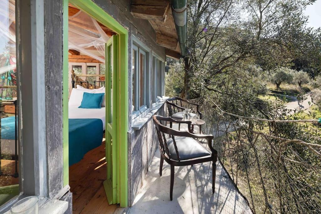 帕拉蒙纳斯Margaritis'S Treehouse别墅 外观 照片