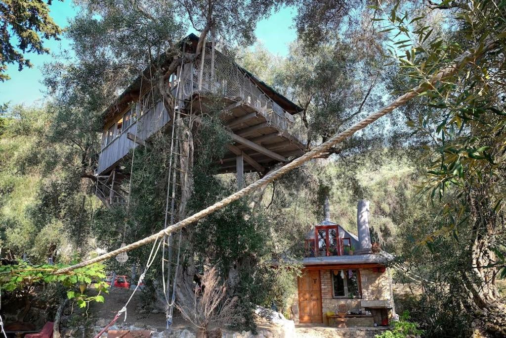 帕拉蒙纳斯Margaritis'S Treehouse别墅 外观 照片