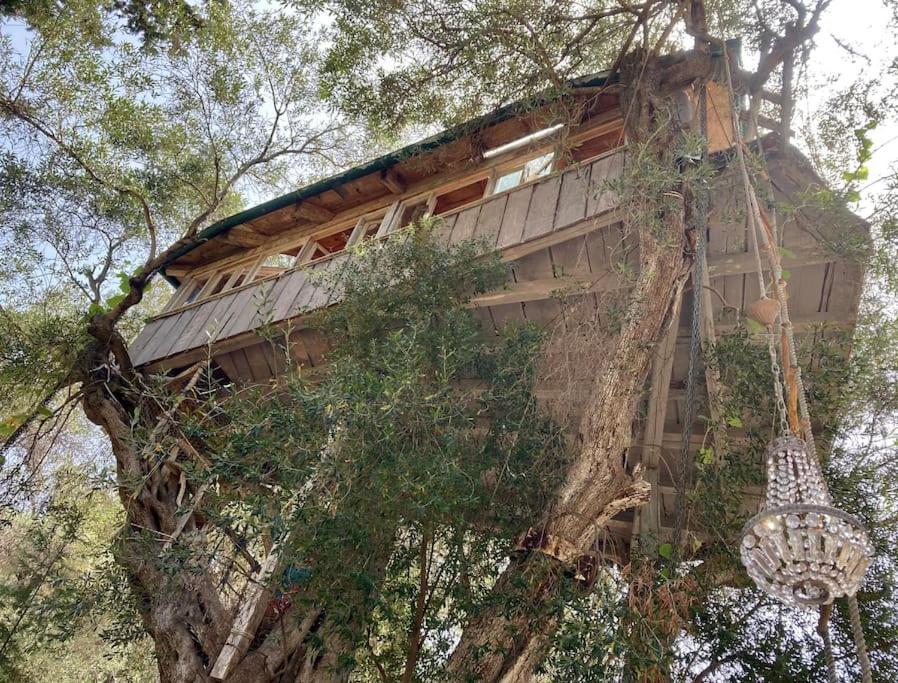 帕拉蒙纳斯Margaritis'S Treehouse别墅 外观 照片