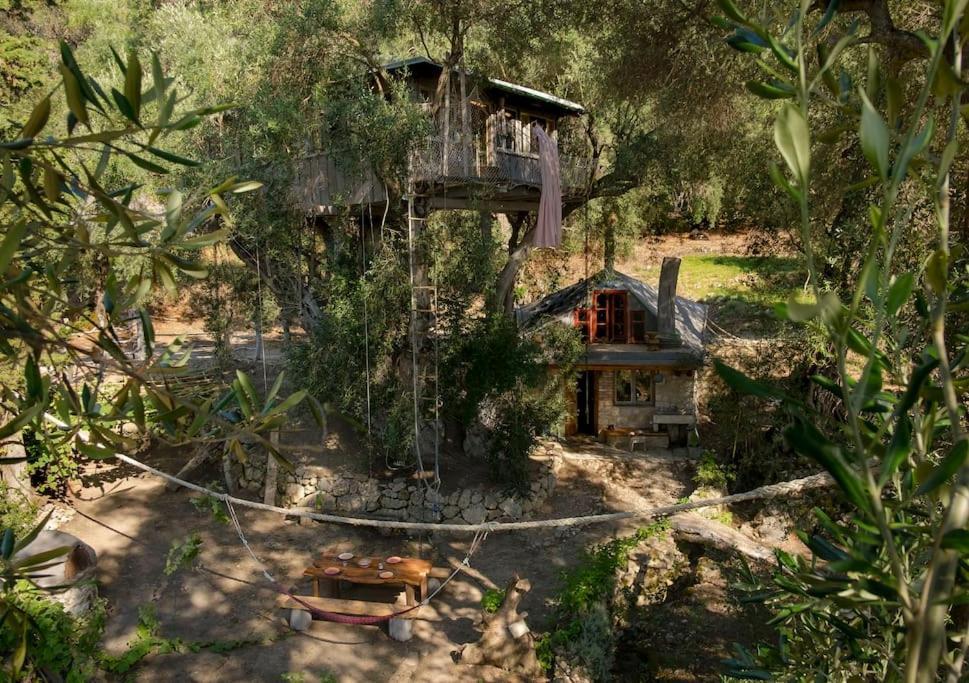 帕拉蒙纳斯Margaritis'S Treehouse别墅 外观 照片