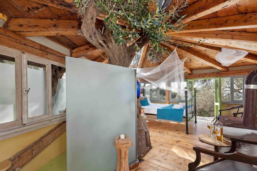 帕拉蒙纳斯Margaritis'S Treehouse别墅 外观 照片